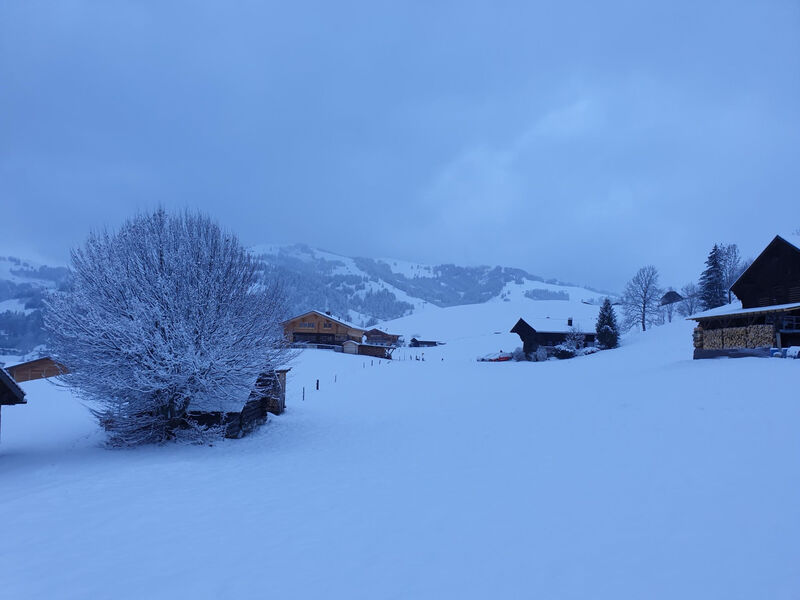 Aerneli, Chalet