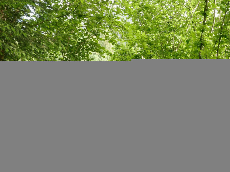 Tree-Tops, Chalet