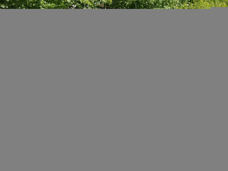 Tree-Tops, Chalet