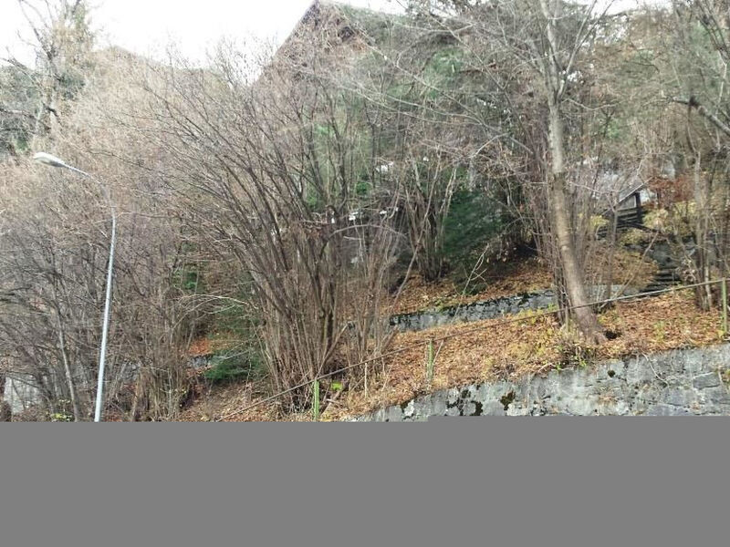Tree-Tops, Chalet