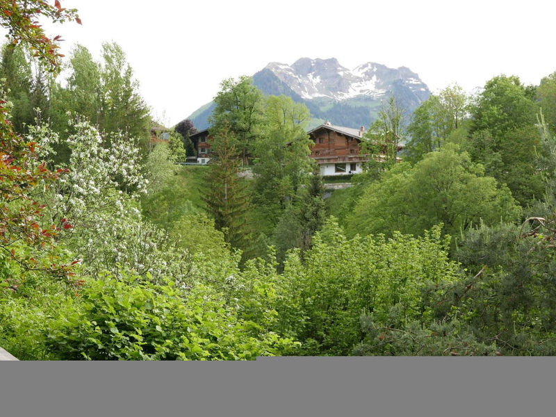 Tree-Tops, Chalet
