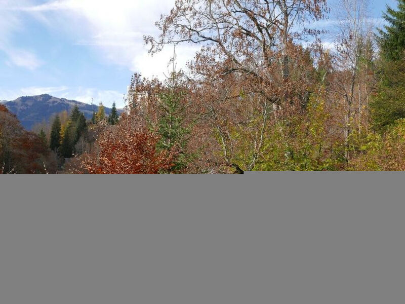 Tree-Tops, Chalet