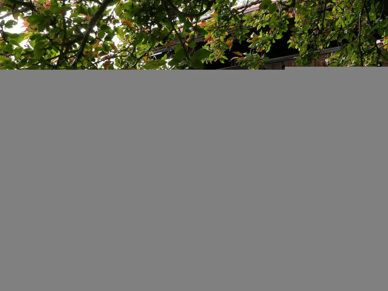Tree-Tops, Chalet