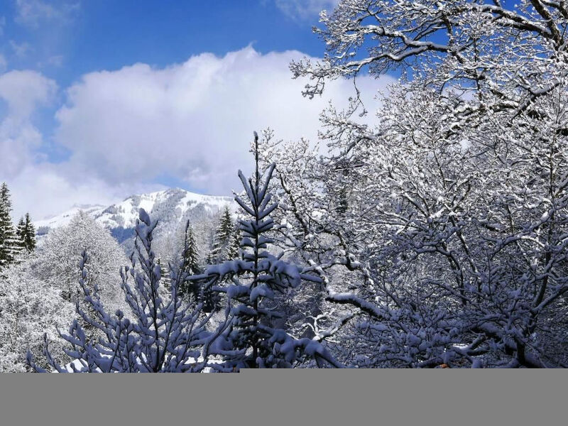 Tree-Tops, Chalet