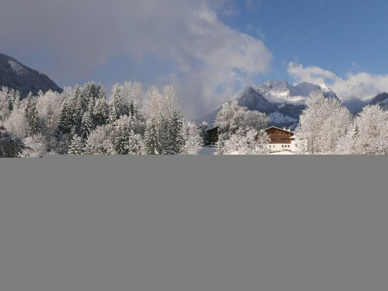 Tree-Tops, Chalet