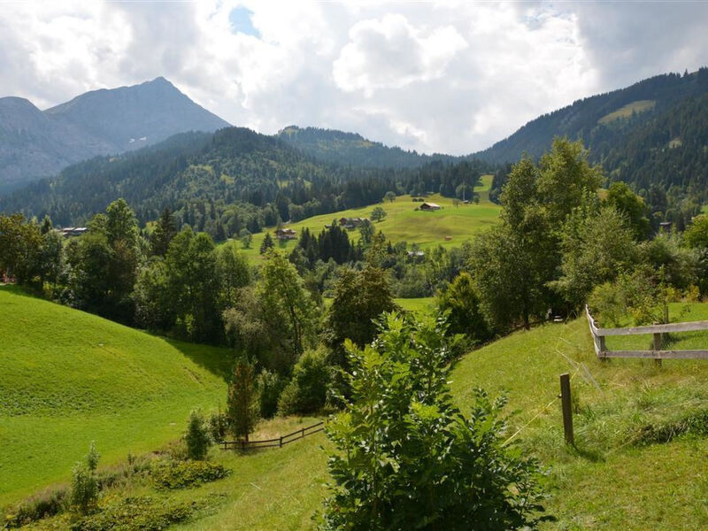 Marmotte, Chalet