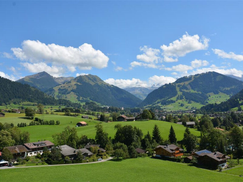 Meielblick