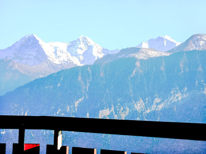 Berg-Seeblick