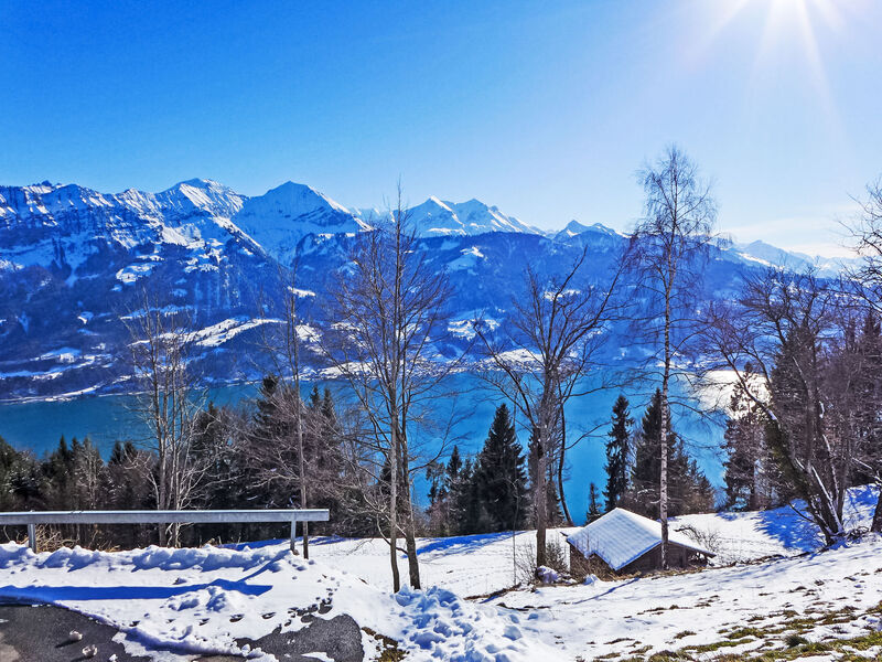 Berg-Seeblick