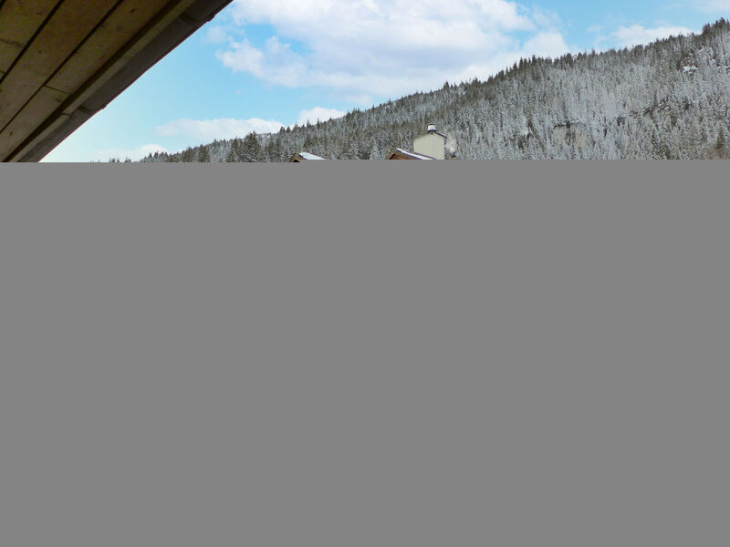 Chalet Burgfeld