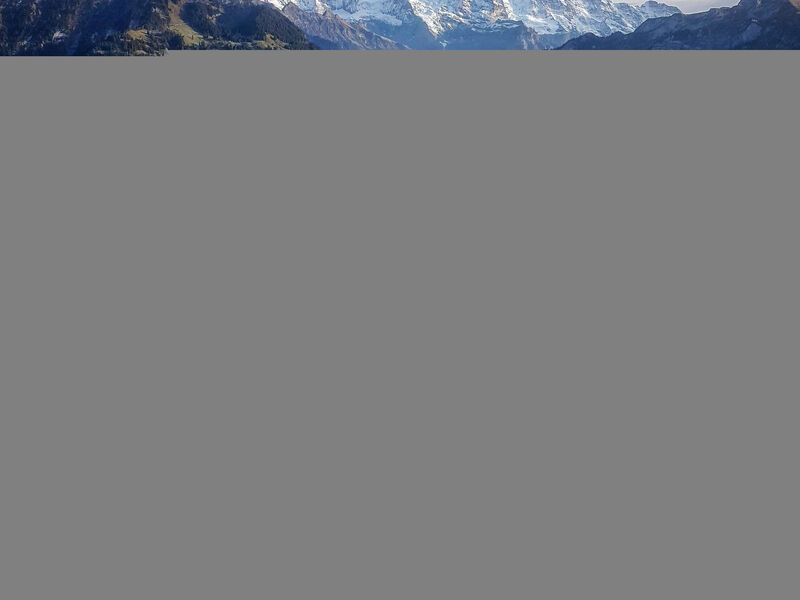Lilo/Studio