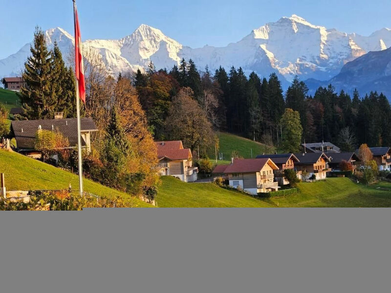 Chalet Friedheim