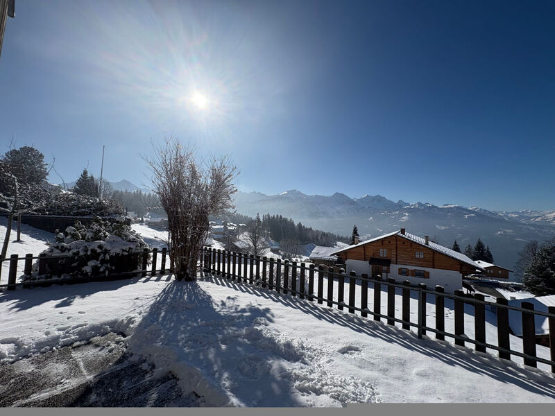 Chalet Friedheim