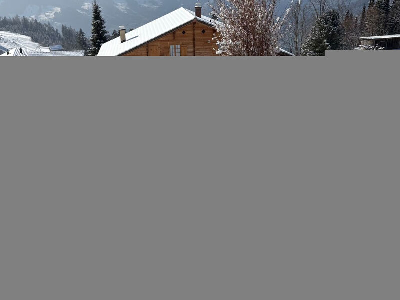 Chalet Friedheim