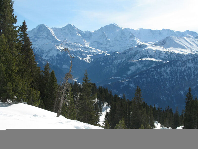 Berg- und Seeblick