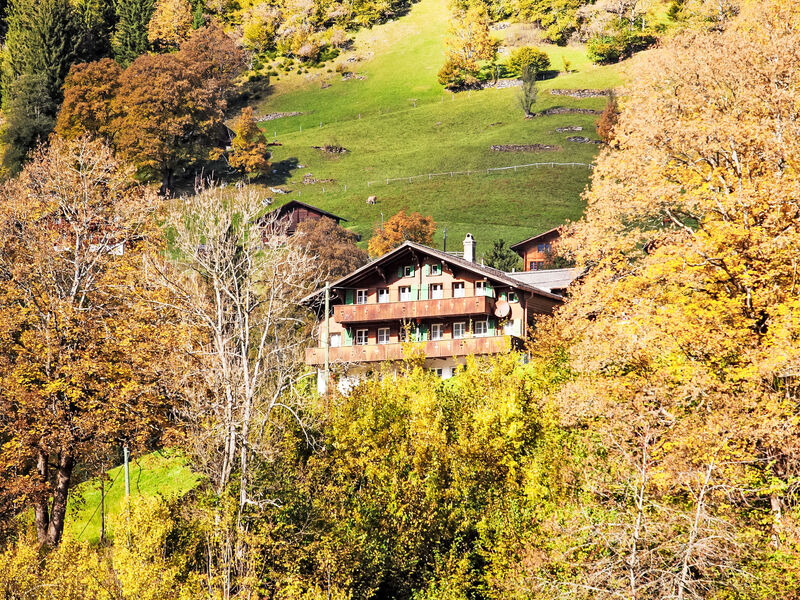 Auf Dem Vogelstein