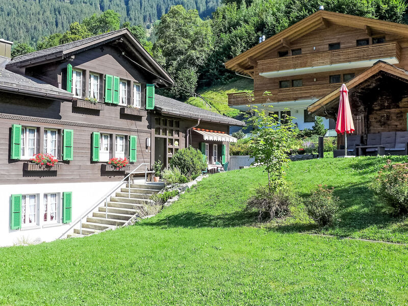 Schwendihus