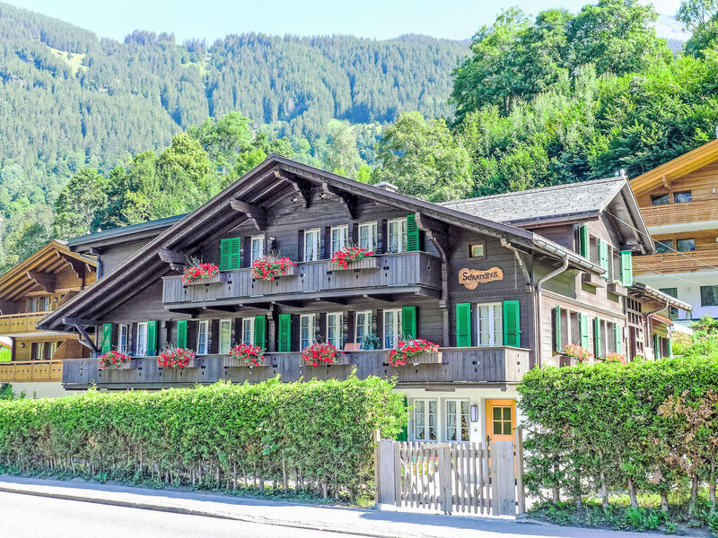 Schwendihus