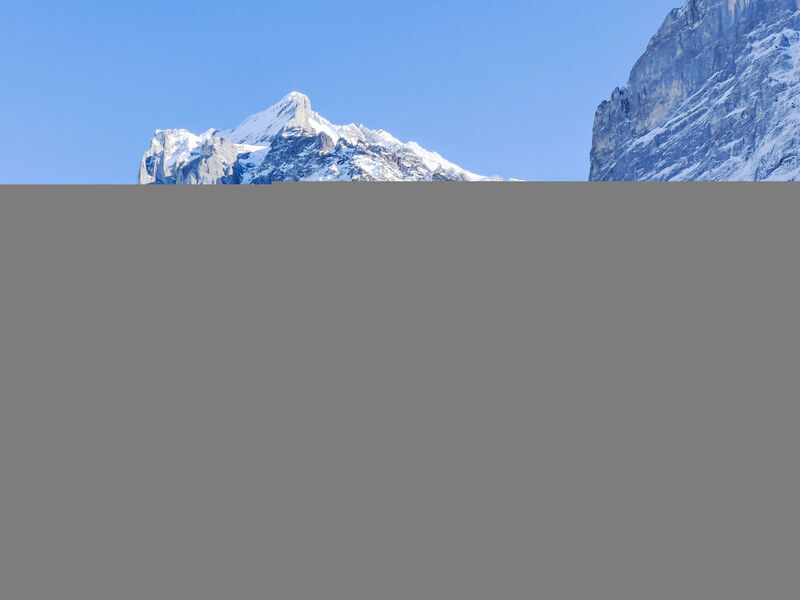 Chalet Pfingstrose