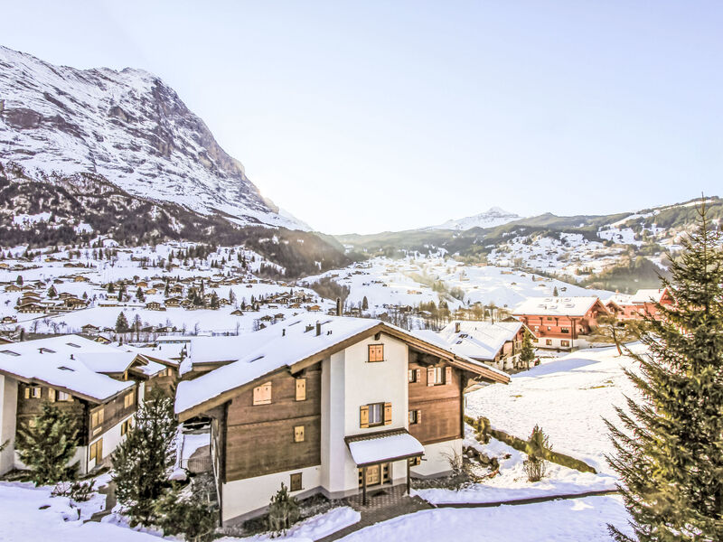 Cortina