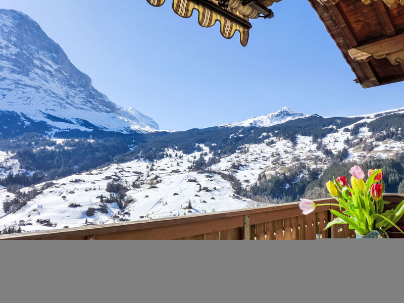 Chalet Adlerhorst OG