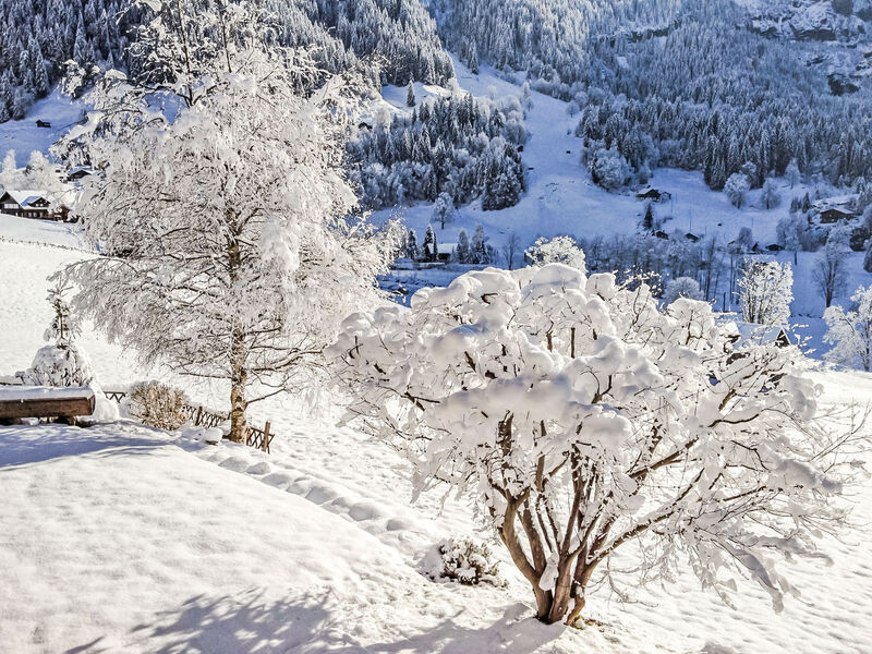 Chalet Bärgsunna