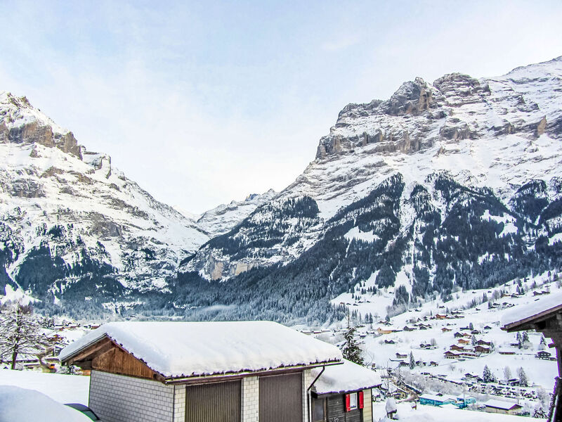 Mittelhorn