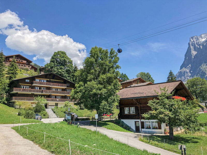 Bodmisunne