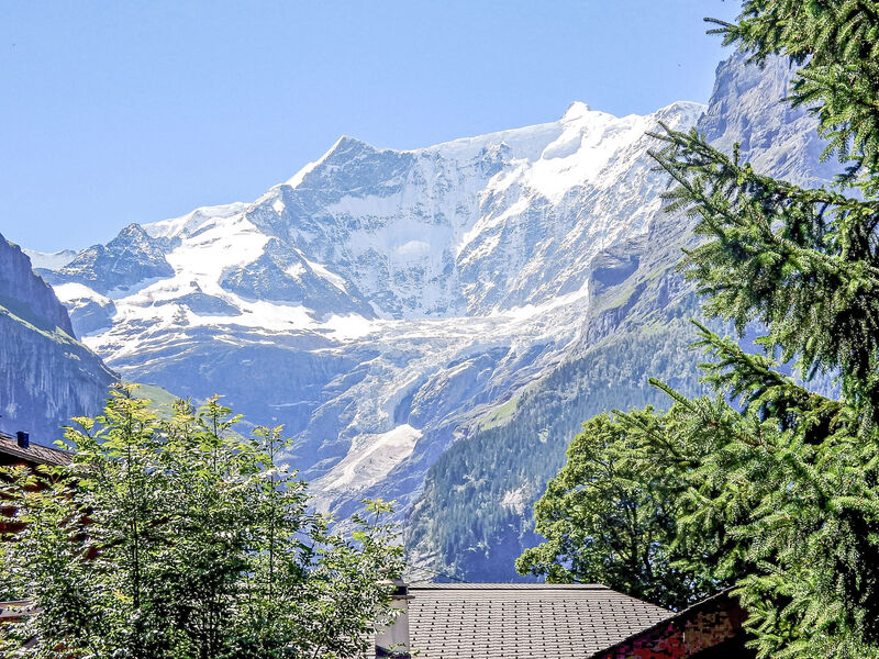 Chalet Bienli