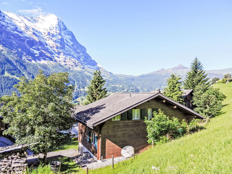 Chalet Bienli