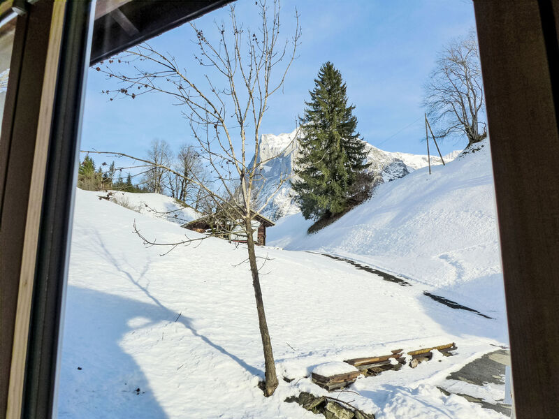 Chalet Bienli