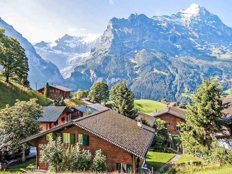 Chalet Bienli