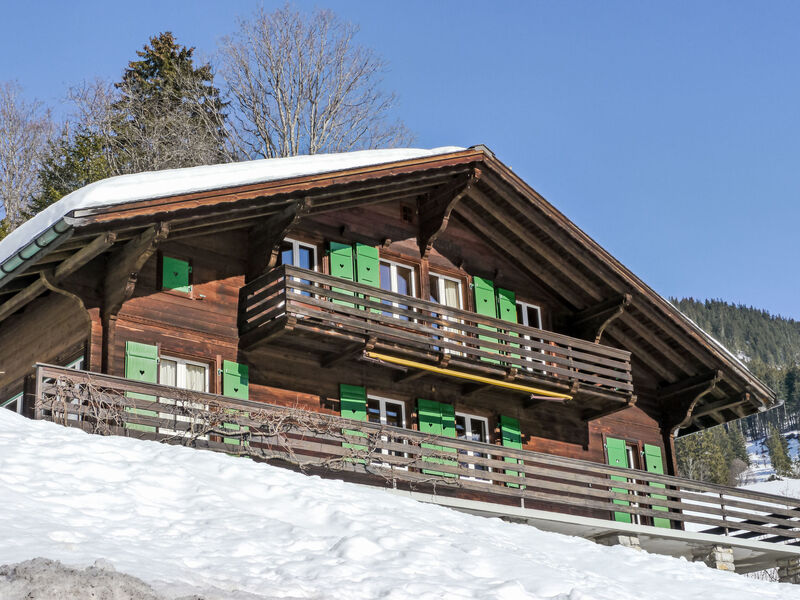 Chalet Pitschun