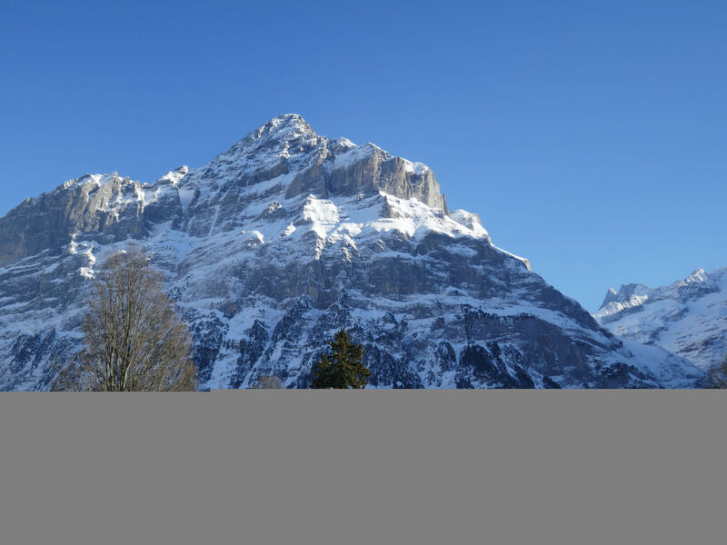 Chalet Grindelwaldgletscher