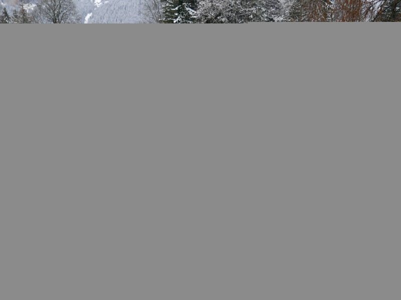 Chalet Grindelwaldgletscher