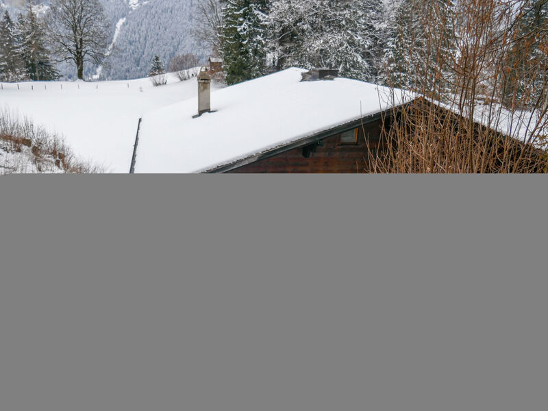 Chalet Grindelwaldgletscher