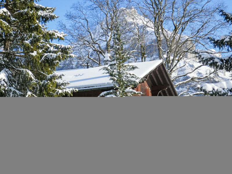 Chalet Hobelbank