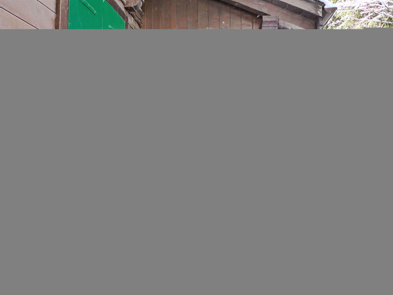 Chalet Tannengüetli