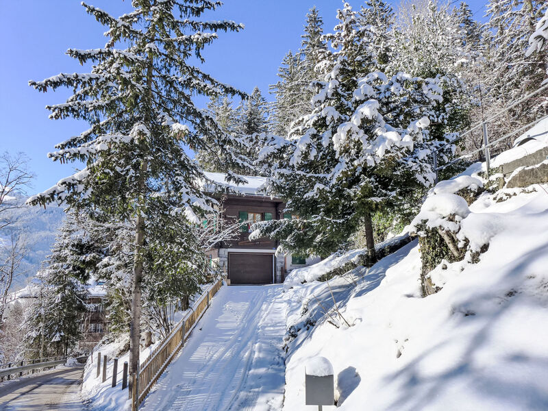Chalet Tannengüetli
