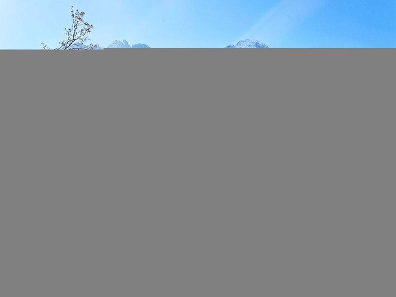 Chalet Tannengüetli