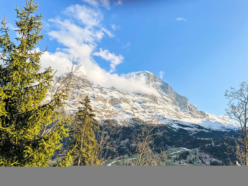 Chalet Tannengüetli