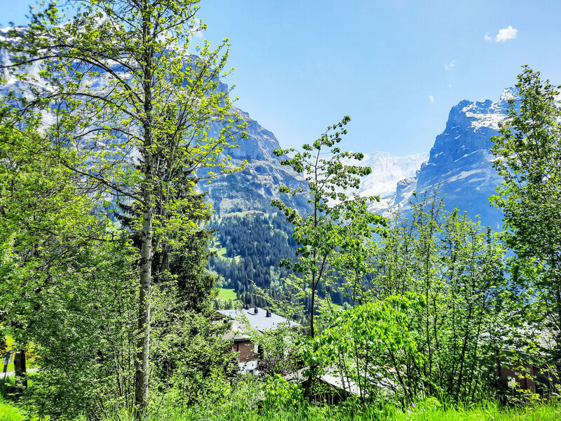 Chalet Zur Höhe