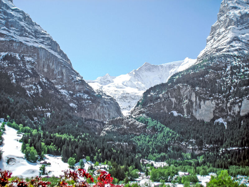 Steinbilla