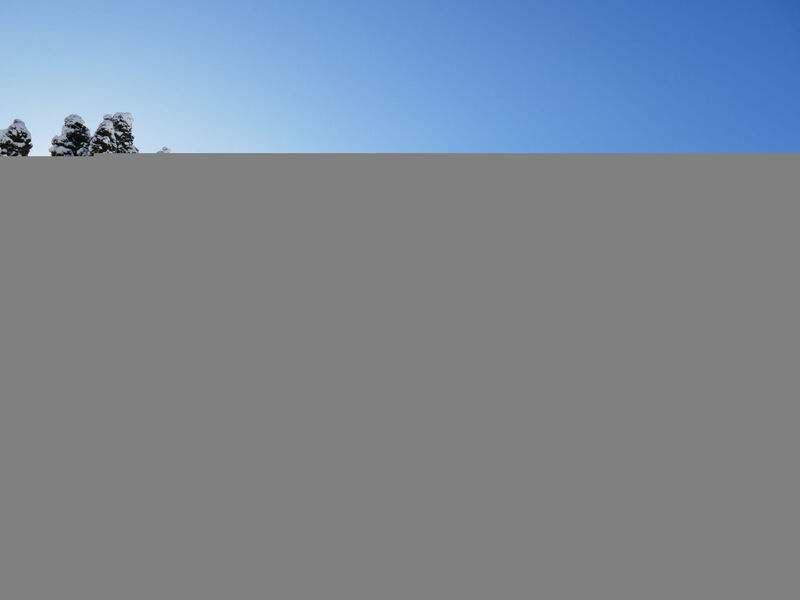 Chalet Wyssefluh