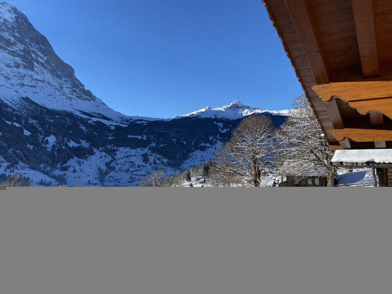 Chalet Snowflake