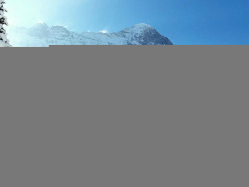 Eigerlicht 3-Zimmerwohnung