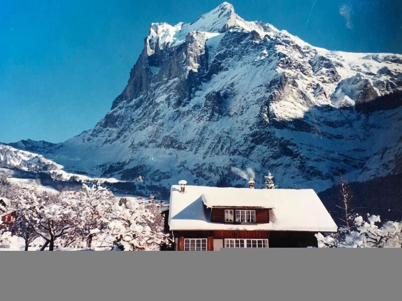 gemütliches SINGLE-Studio