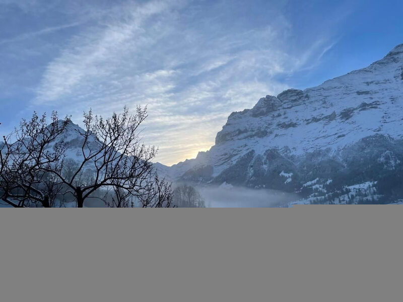 Chalet Bachsbort 14