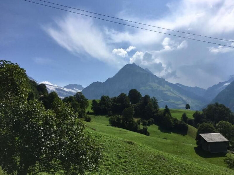 Chalet Bachsbort 14