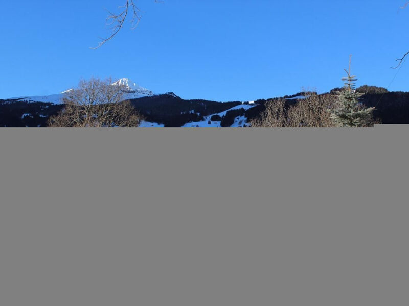 Chalet Herrschaft 4 Bett Wohnung